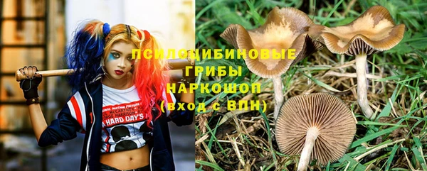 крисы Сафоново