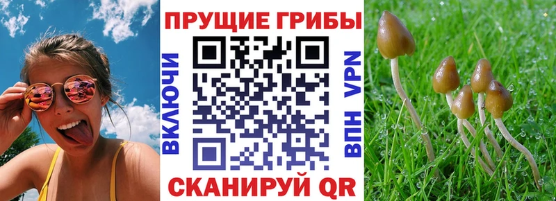 Галлюциногенные грибы Magic Shrooms  кракен рабочий сайт  Углич 