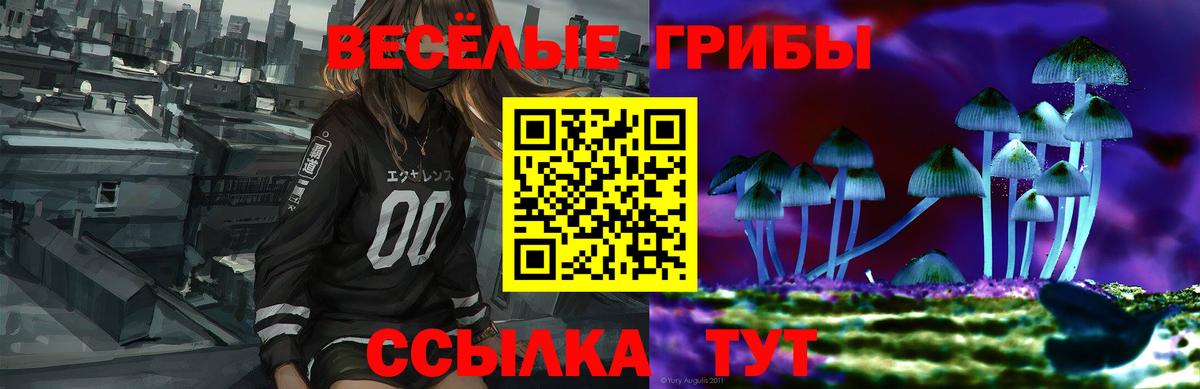 Углич  Псилоцибиновые грибы Psilocybine cubensis  Вход с VPN  Псилоцибиновые грибы Psilocybine cubensis 